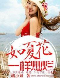 如夏花一样灿烂