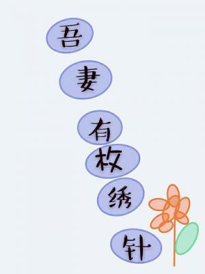吾妻有枚绣花针