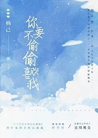 你不要偷偷喜欢我