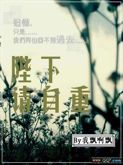 陛下请自重（夜之华章）