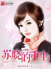 苏晓的重生