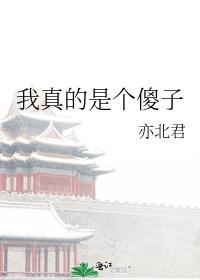 我真的是个傻子