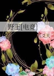 野王[电竞]