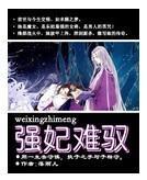 强妃难驭