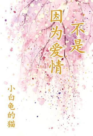 不是因为爱情