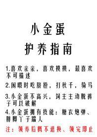 小金蛋护养指南
