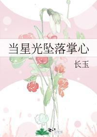 当星光坠落掌心