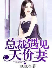 总裁遇见天价妻