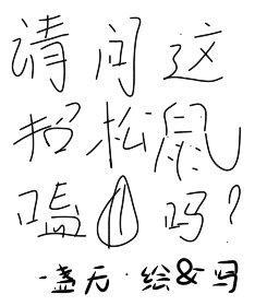 请问这招松鼠嗑瓜子吗