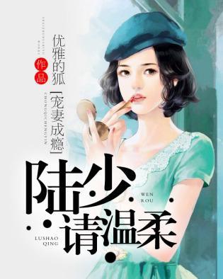 宠妻成瘾:陆少请温柔