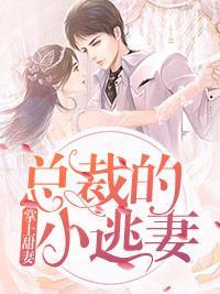 掌上甜妻：总裁的小逃妻