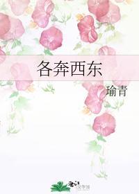 各奔西东
