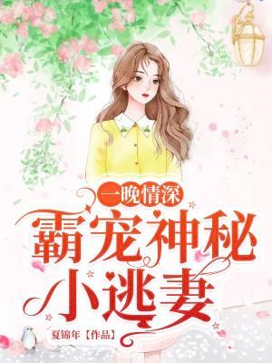 一晚情深：霸宠神秘小逃妻