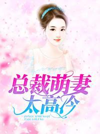 总裁萌妻太高冷