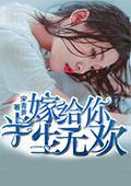 嫁给你，半生无欢
