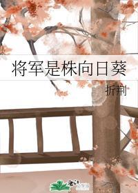 将军是株向日葵