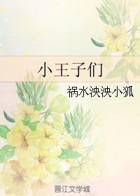 小王子们