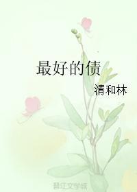 最好的债