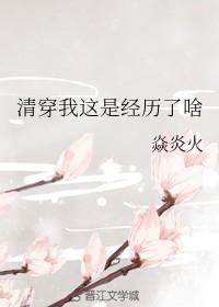 清穿我这是经历了啥
