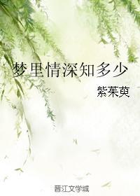 梦里情深知多少