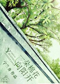 一朵棉花向阳开