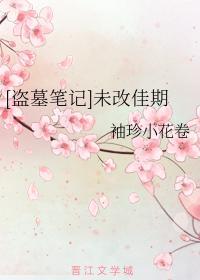 [盗墓笔记]未改佳期