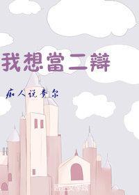 我想当二辩
