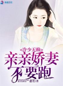 冷少无赖:亲亲娇妻不要跑