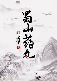 蜀山药丸
