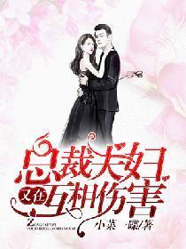 总裁夫妇又在互相伤害