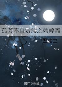孤芳不自赏续之娉婷篇