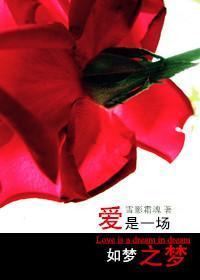 爱是一场如梦之梦