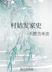 村姑发家史