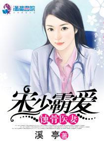 宋少霸爱蚀骨医妻