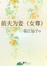 前夫为妾(女尊)