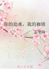 你的劫难，我的枷锁