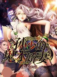 重生术师：孙少的鬼才娇妻