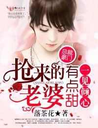 一见倾心,抢来的老婆有点甜