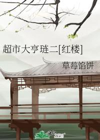 超市大亨琏二[红楼]
