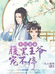 茶田喜事：腹黑王爷宠不停