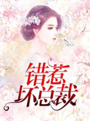 错惹坏总裁