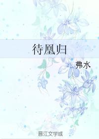待凰归