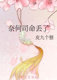 奈何司命丢了