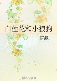 白莲花和小狼狗