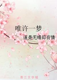 唯许一梦