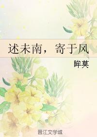 述未南,寄于风