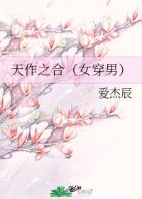 天作之合（女穿男）
