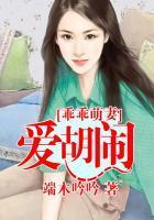 乖乖娇妻,别闹了