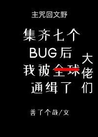 集齐七个BUG后我被大佬们通缉了