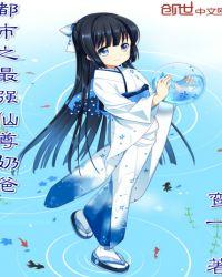 帝尊武婿